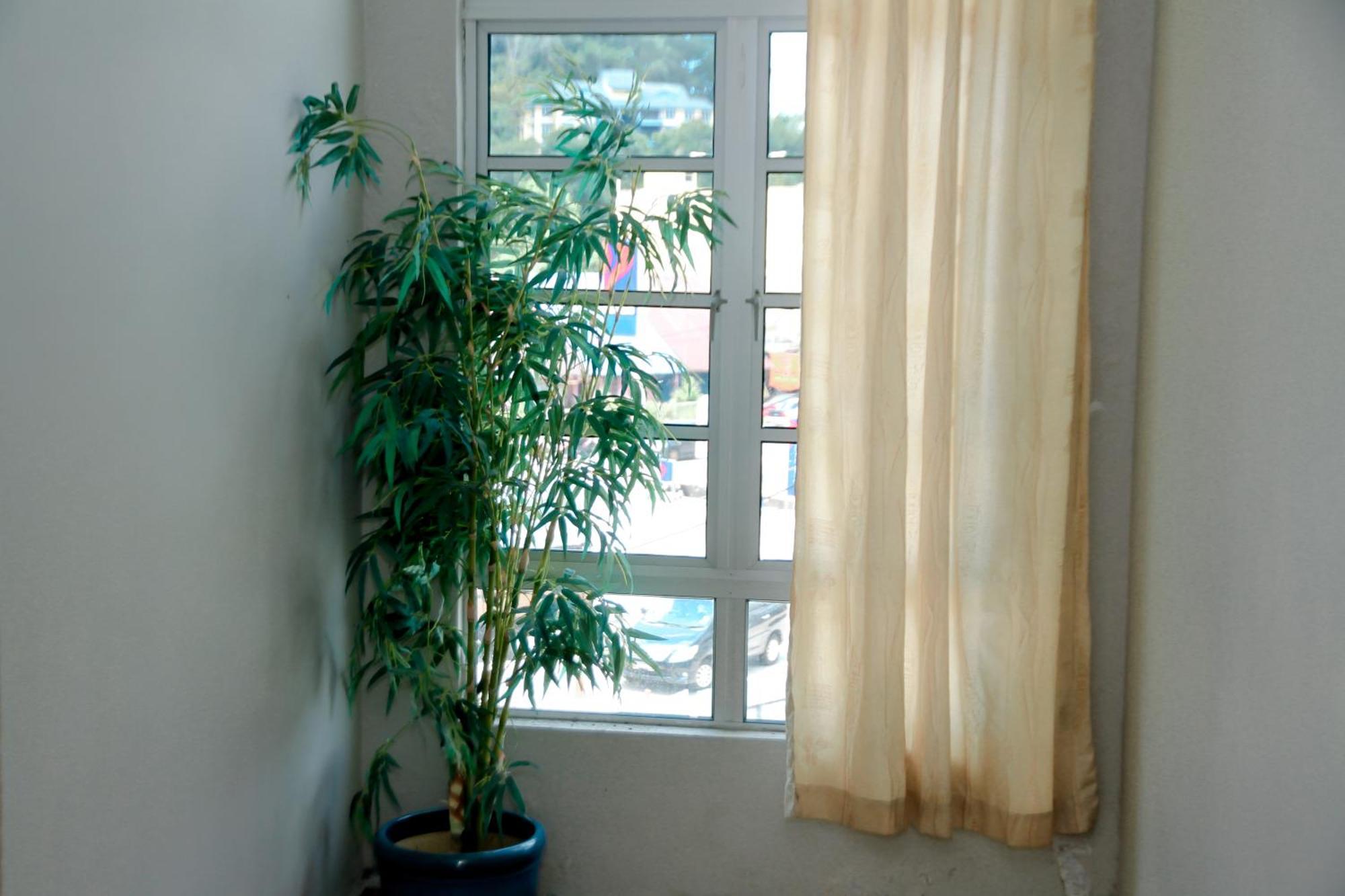 Hotel D View Mersing Kültér fotó